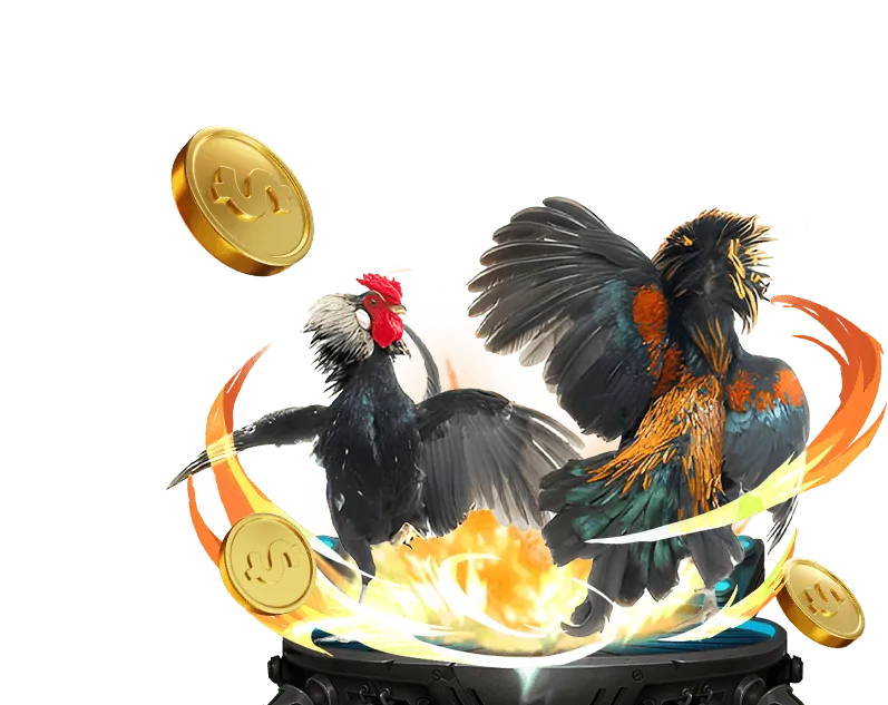 Cá cược bóng đá